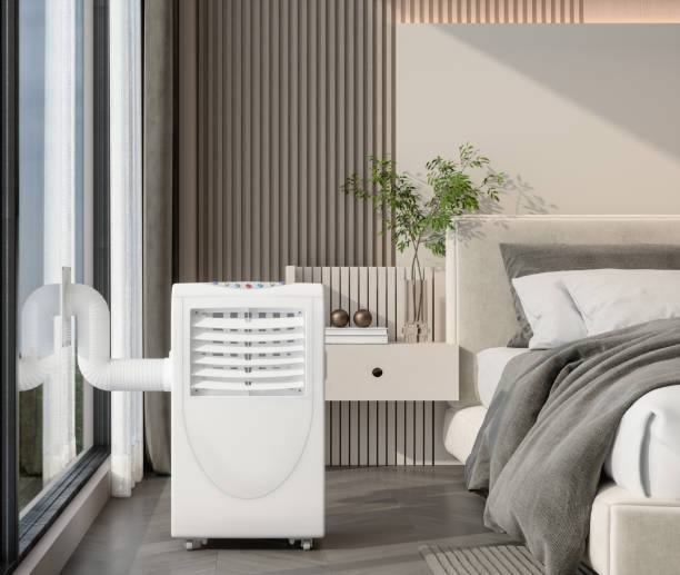 Best HVAC air duct cleaning  in Webster, FL