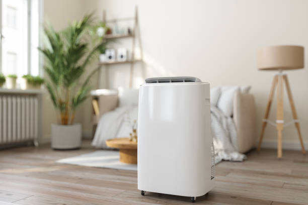 Best HVAC air duct cleaning  in Webster, FL
